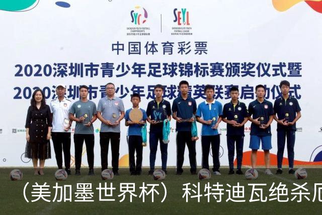 （美加墨世界杯）科特迪瓦绝杀厄瓜多尔 瑞典5:1大胜突尼斯